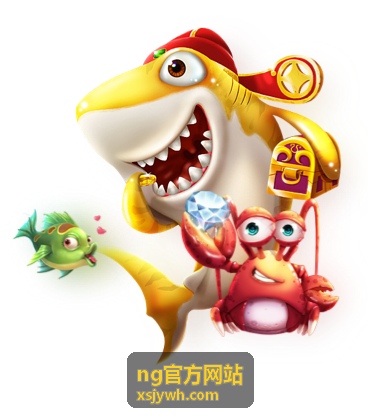 ng官方网站项目实施流程分类封面