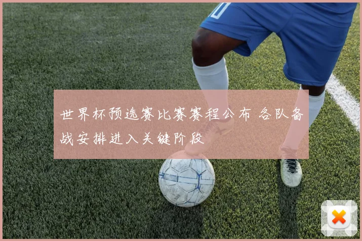 世界杯预选赛比赛赛程公布 各队备战安排进入关键阶段