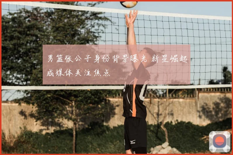 男篮张公子身份背景曝光 新星崛起成媒体关注焦点