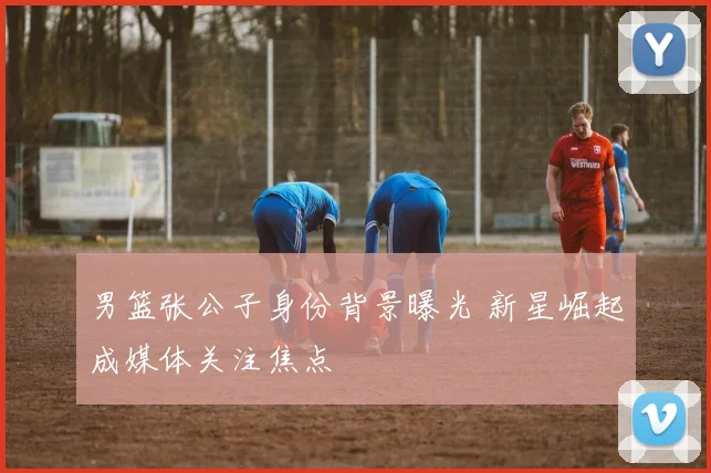 男篮张公子身份背景曝光 新星崛起成媒体关注焦点