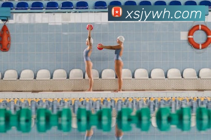 b体育官方网页发展历程